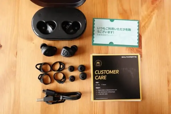 DSC02362 SOUNDPEATS TrueShift2 付属品